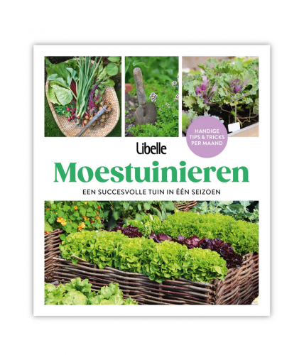 Een succesvolle tuin in één seizoen