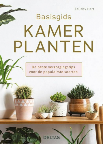 Basisgids kamerplanten