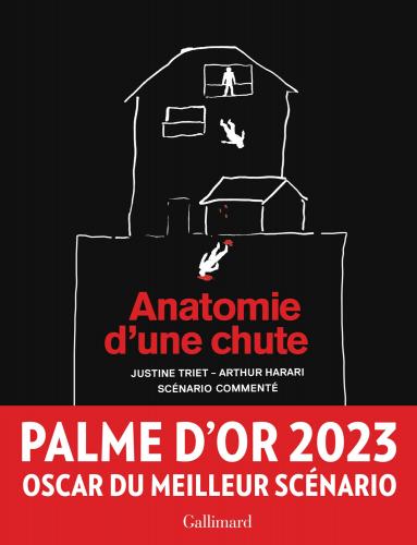 Anatomie d'une chute: pour les fans de ciné