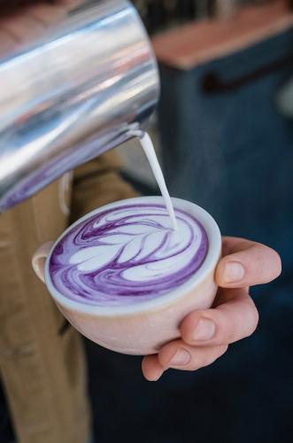 Latte violet