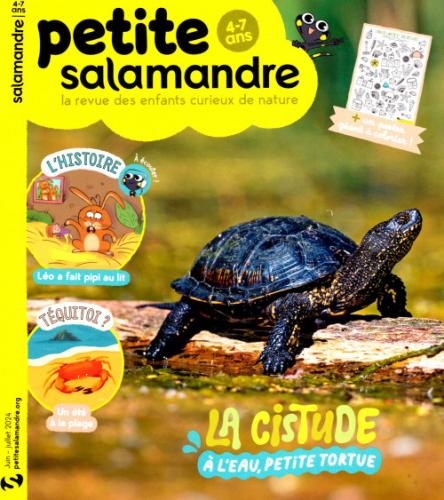 Petite Salamandre 