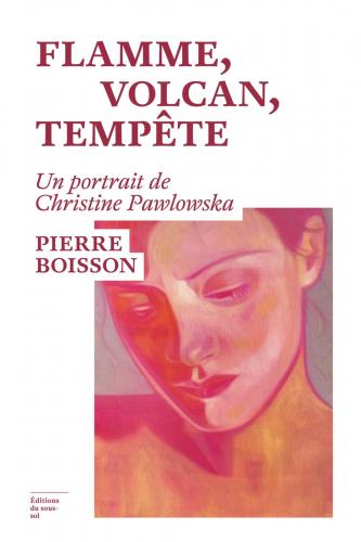 Une enquête comme un roman
