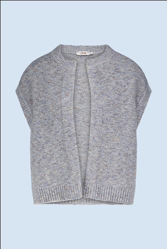 Grijze gilet