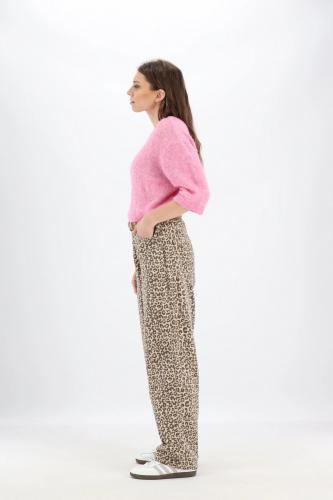 Baggy model
