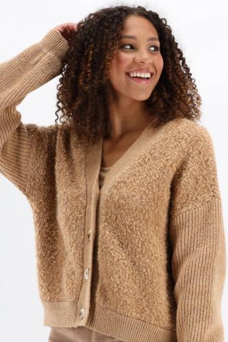 Cardigan met teddy
