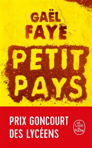 Petit pays, Gaël Faye