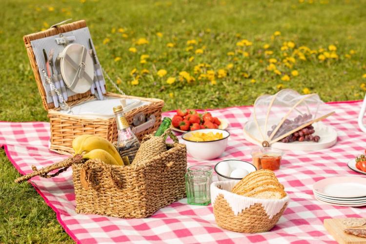 10x Libelle's picknickdeken