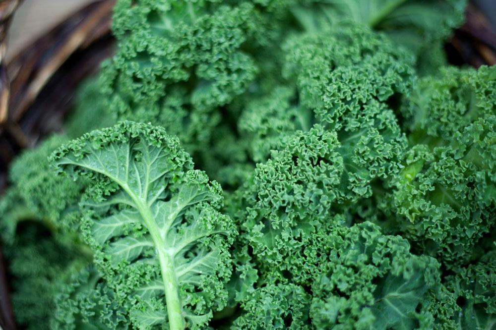 aliment nutritif: légumes verts