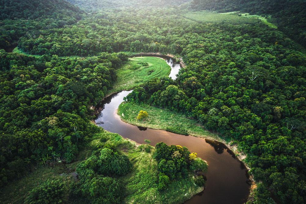 Cinq Choses Savoir Sur L Amazonie