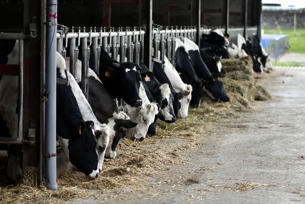 'Brede waaier aan Vlaamse landbouwbedrijven is waar Boerenbond voor