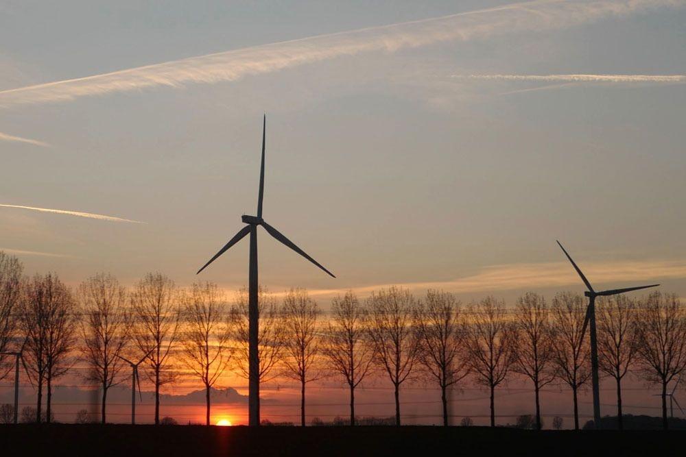 'Hoge molens vangen veel wind: laat gemeenten mee beslissen'