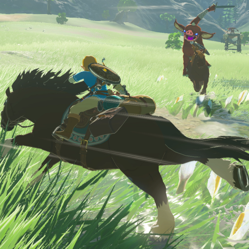 Link kan paarden temmen en berijden... maar dat kunnen de bokoblins ook.