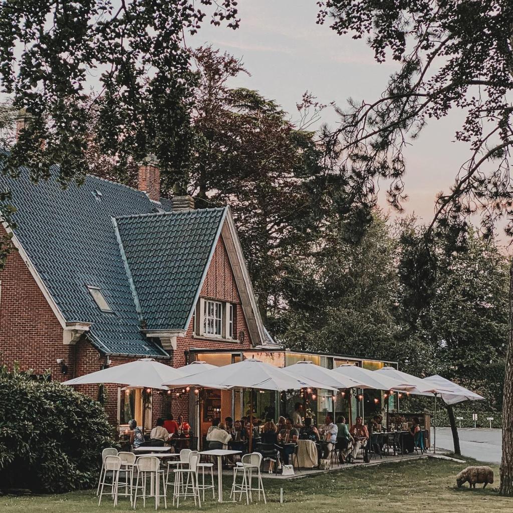 kidsproof terrasjes