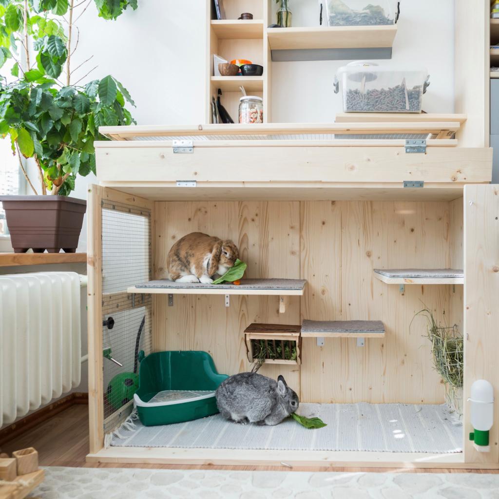 dierenhoekje