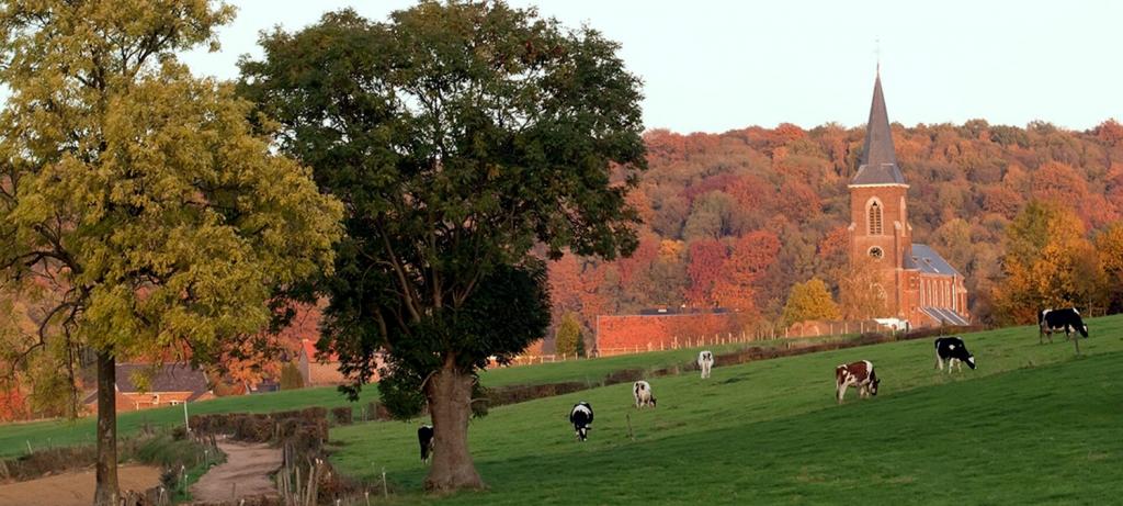 wandelen volkscafés