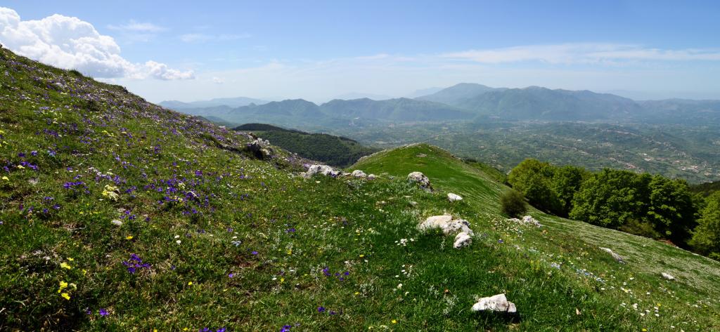 Nationaal Park Abruzzo flora