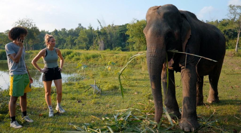 sabotages de mol 2025