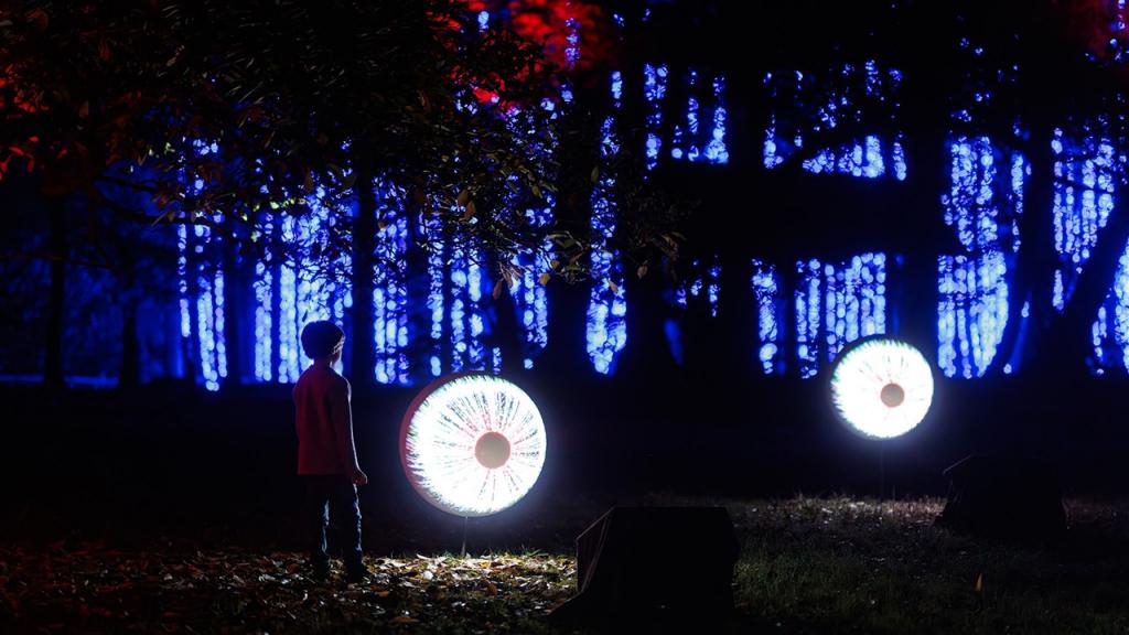 De grote schijn in 't Rivierenhof Antwerpen 