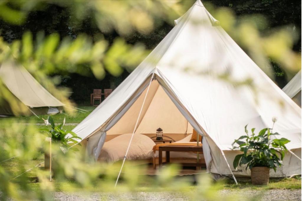 grotten van Han guinguette