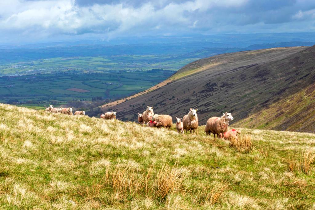 Wales Coast Path: Brecon Beacons