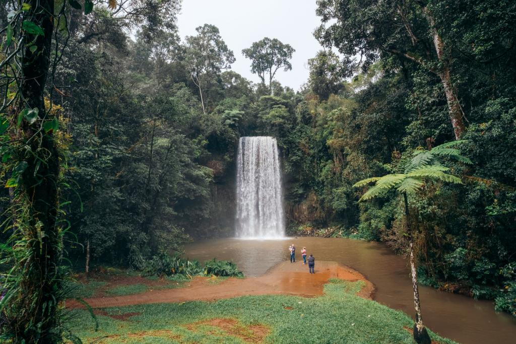 Millaa Millaa waterfall