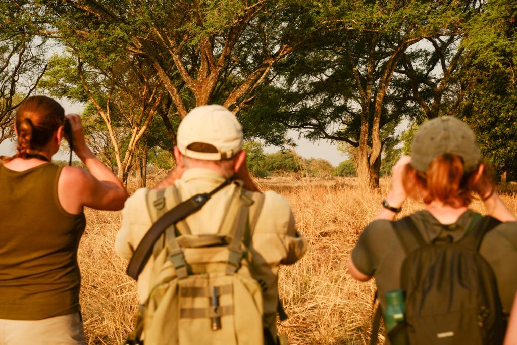 Wandelsafari in Zambia