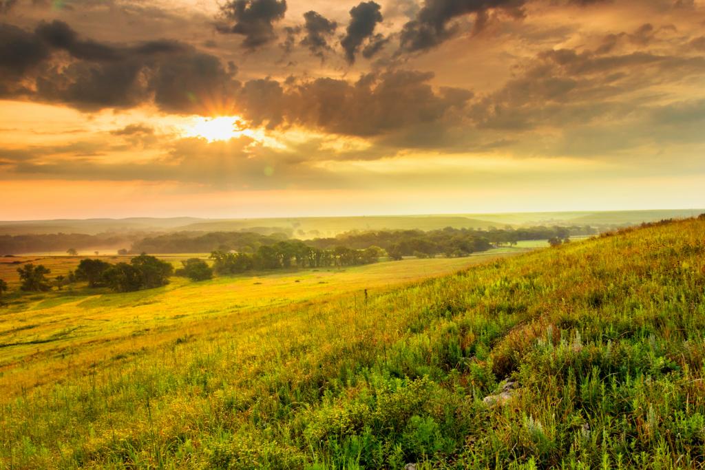 Kansas Tallgrass Prairie. 