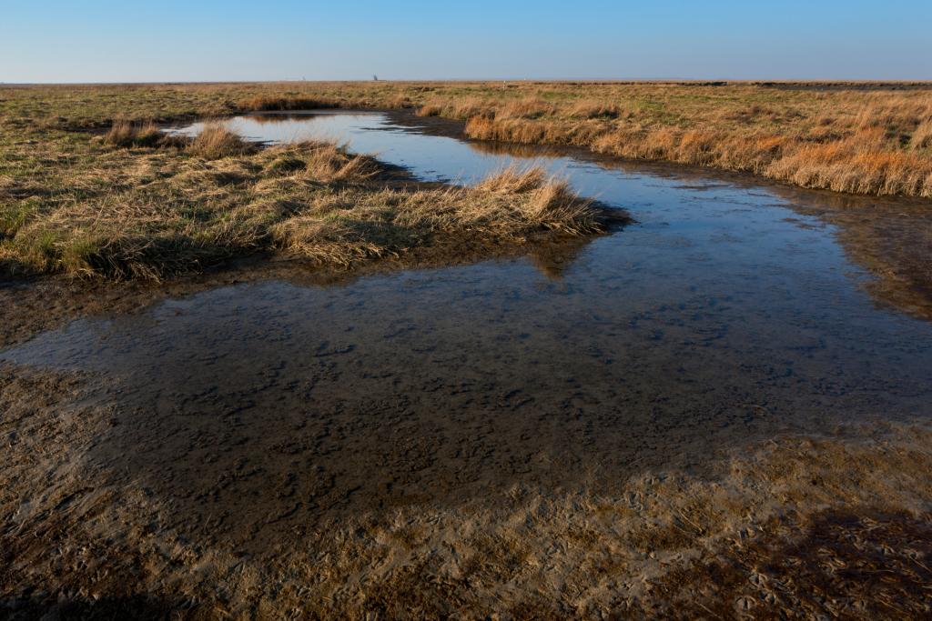 Verdronken Land van Saeftinghe