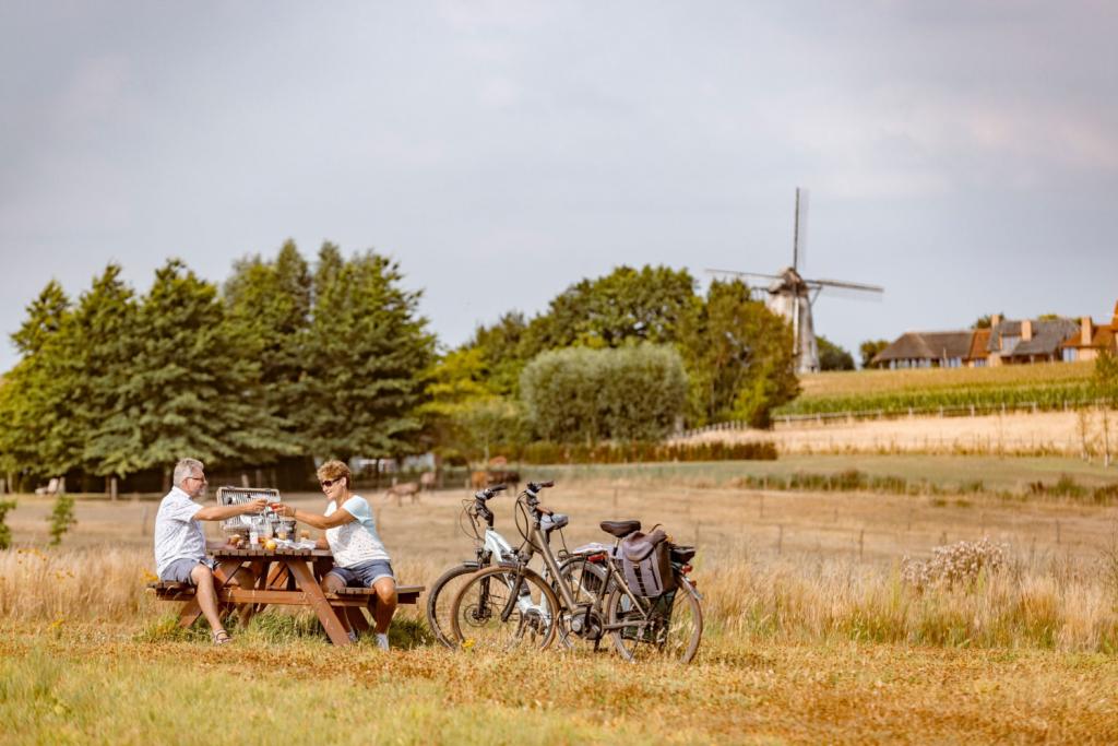 fietsvakantie met de e-bike: West-Vlaanderen 