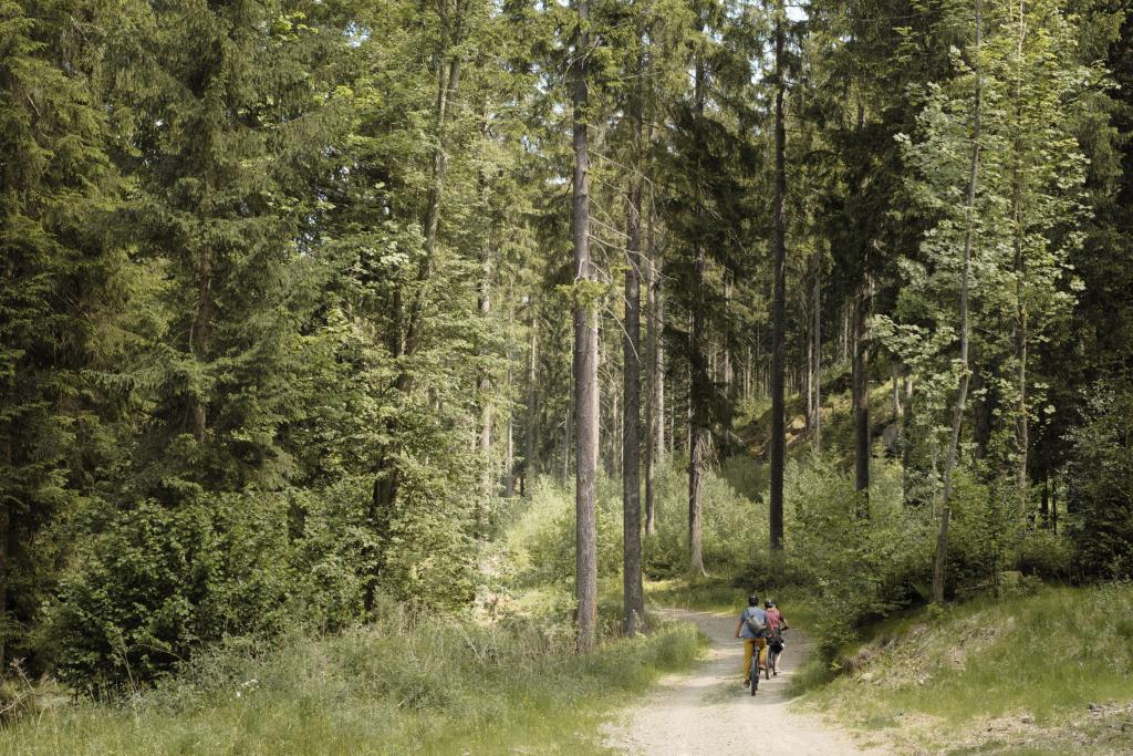 fietsvakantie met de e-bike: Polen 