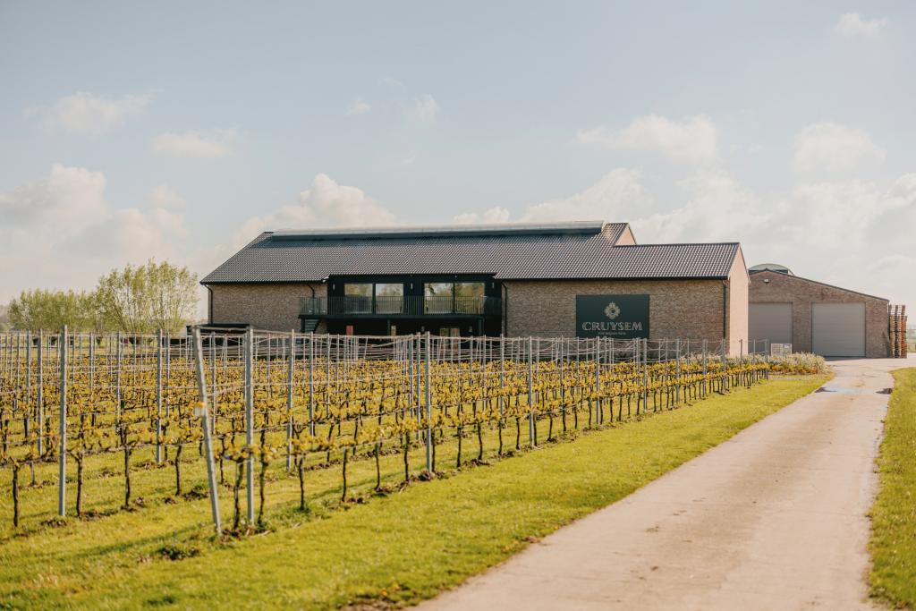 Wijndomein Cruysem