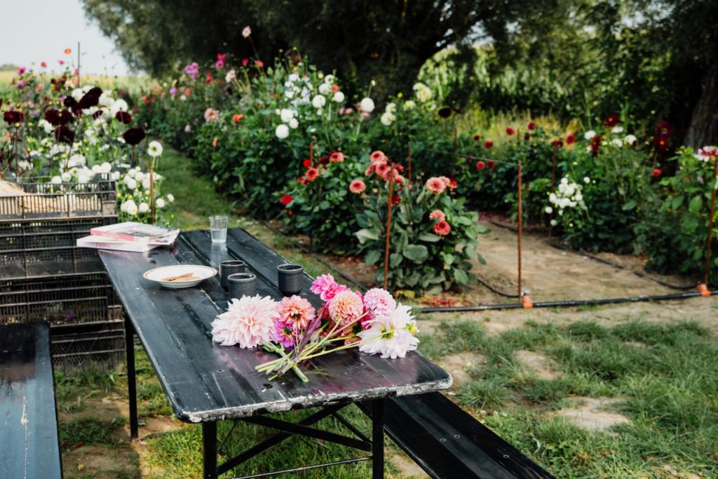 De pluktuin van Riet in Kruisem is in de zomermaanden op zaterdag toegankelijk.
