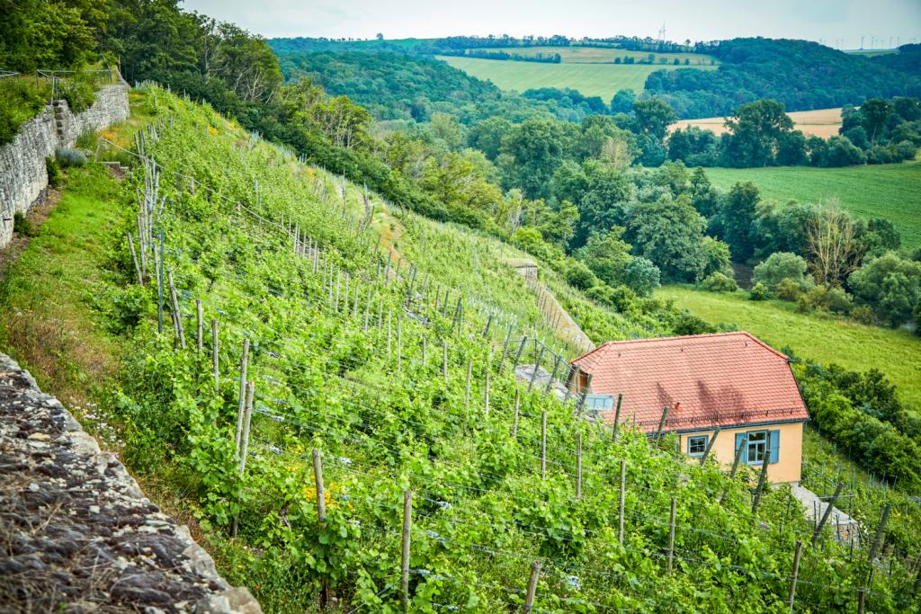 fietsen thüringen