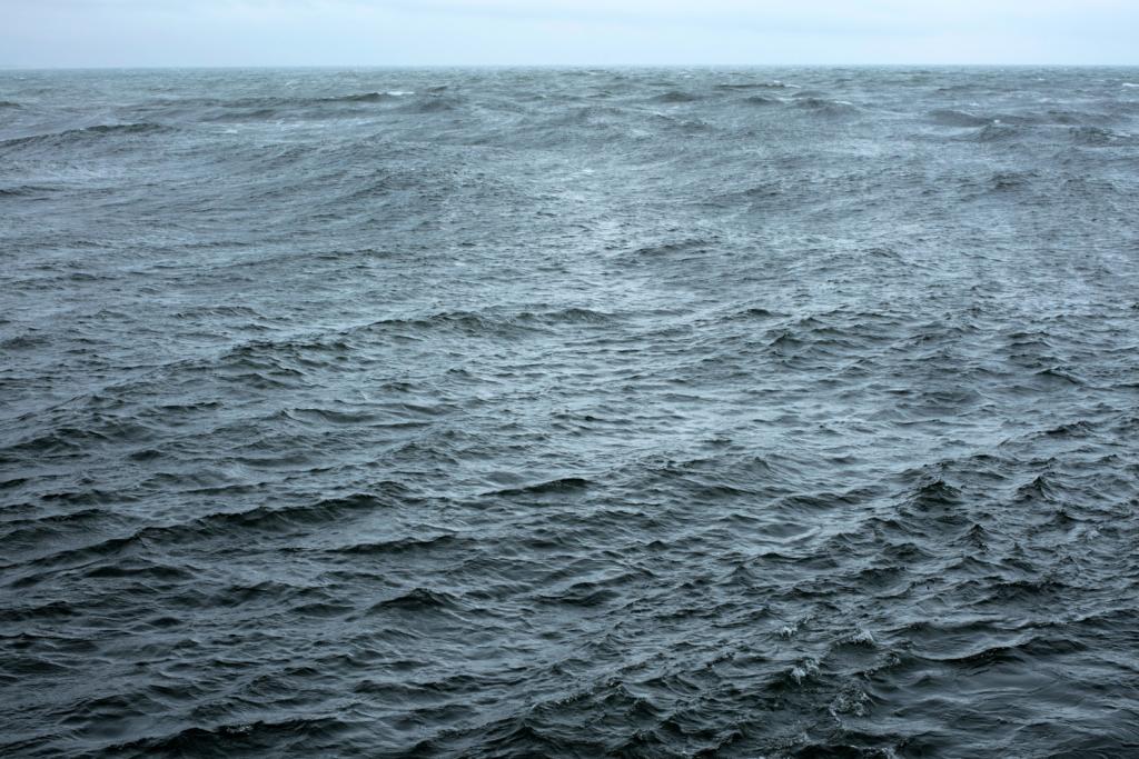 Expo's augustus 2025