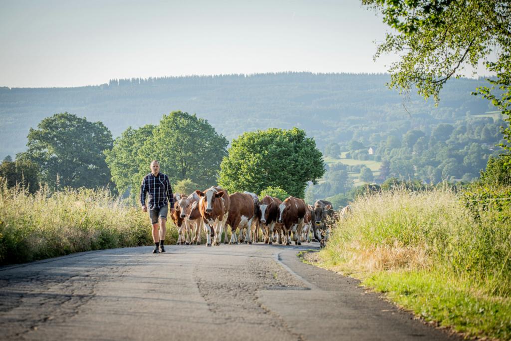 culinair weekendje ardennen