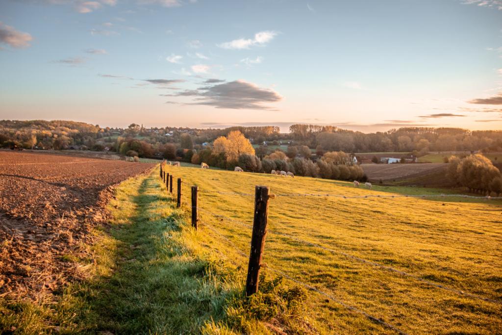 wandelen volkscafés