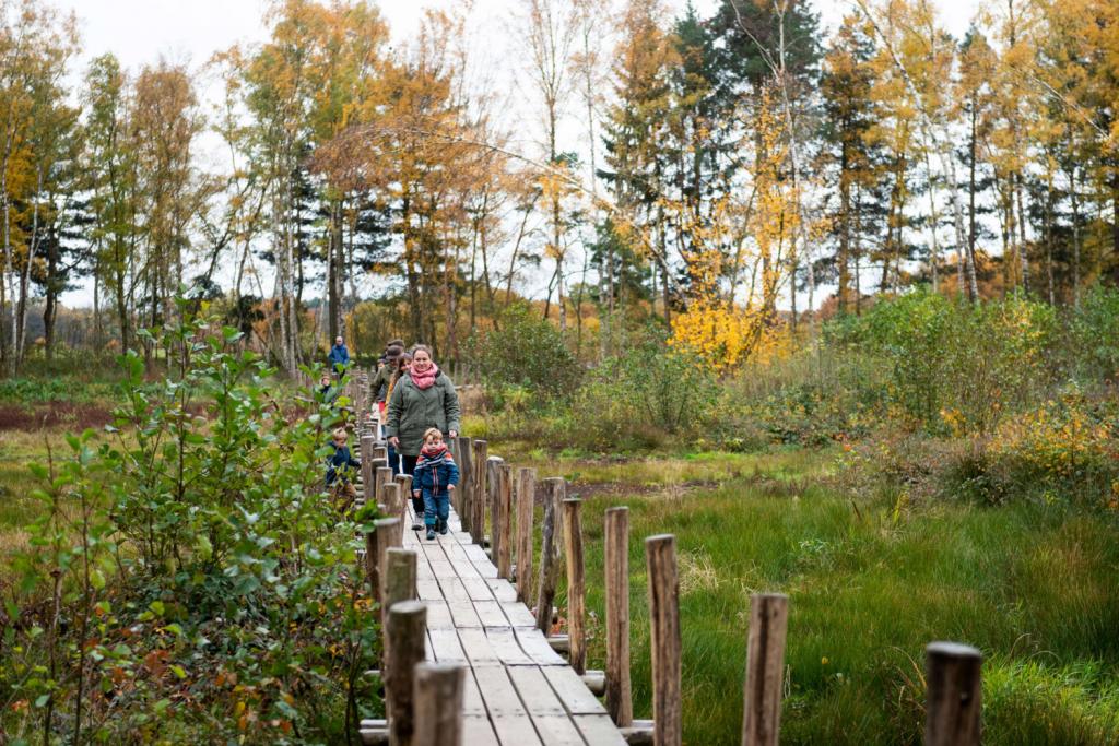 herbronnen langs de nete wandeling