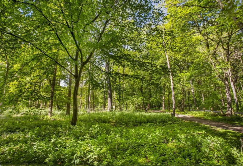looproutes aan de Belgische kust