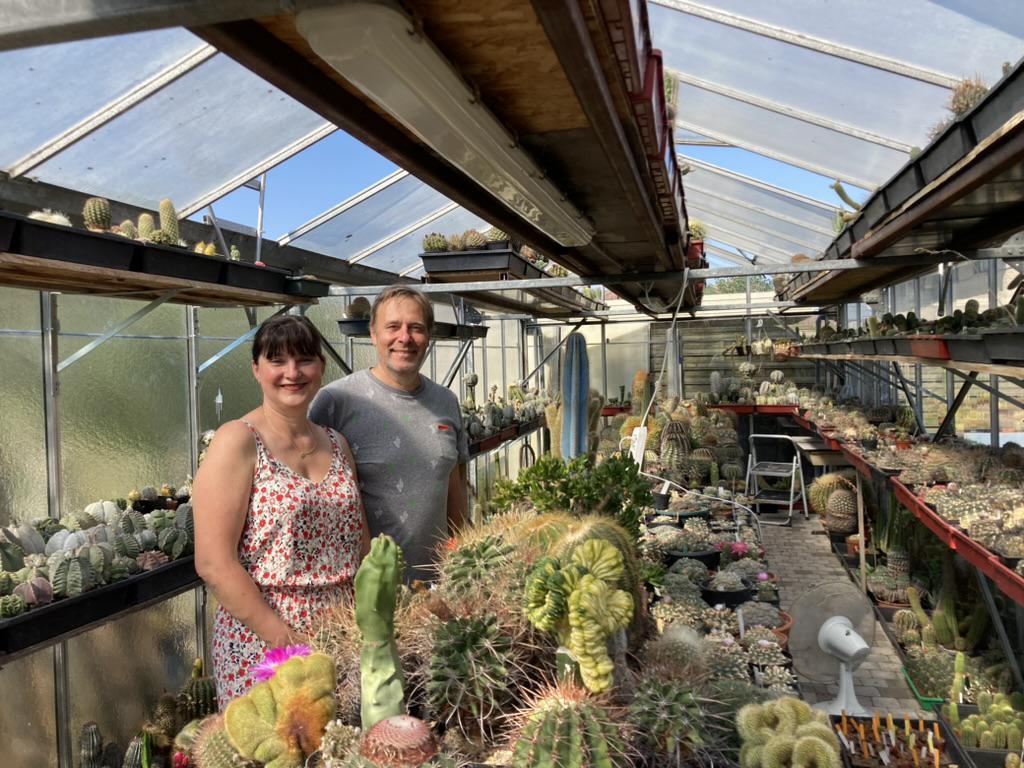 Ga Op Ontdekking In De Tuin Met Cactussen Kw Be