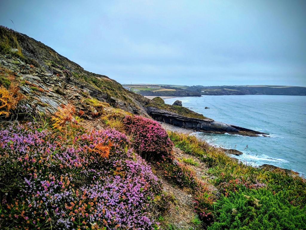 Wales Coast Path: Broad Haven.