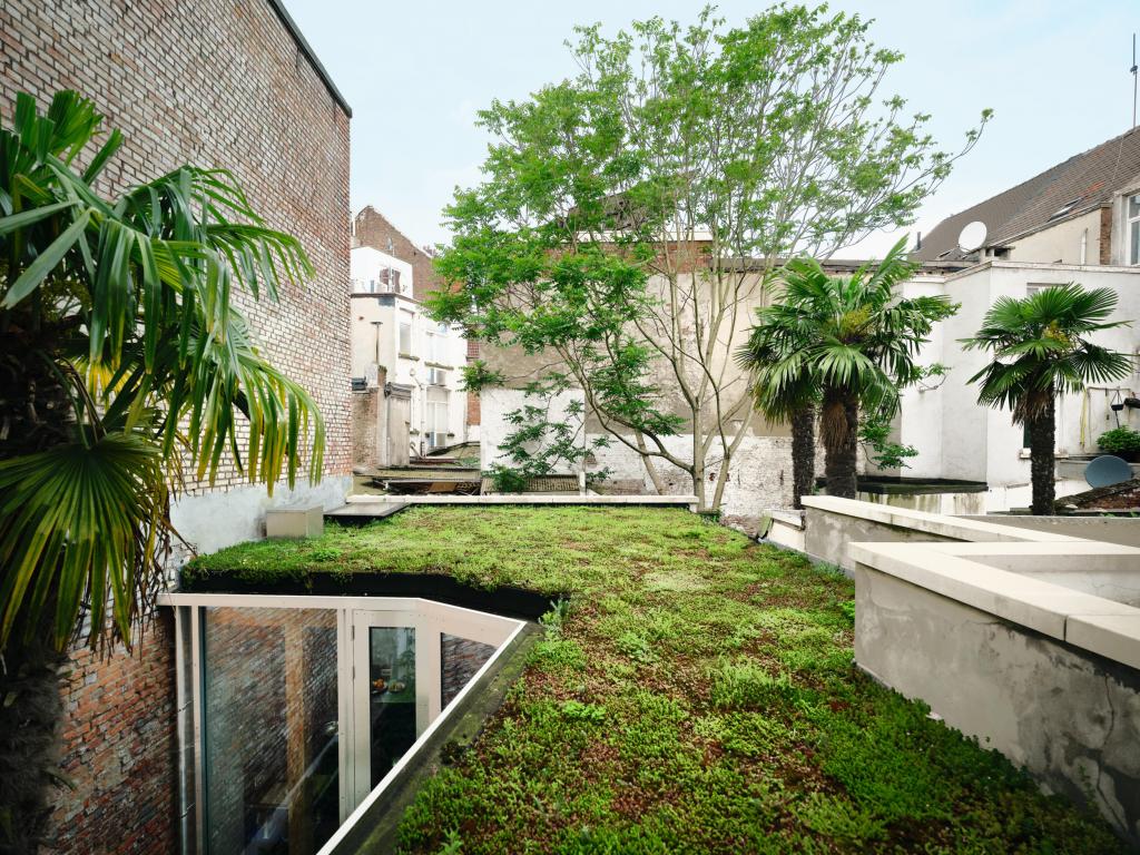 Boven het groendak komt een Himalaya-palm piepen. Tuinarchitect Jan Minne integreerde vier exemplaren rondom de woning. Door de omvang zorgen ze ook in de hoogte voor een tuingevoel.