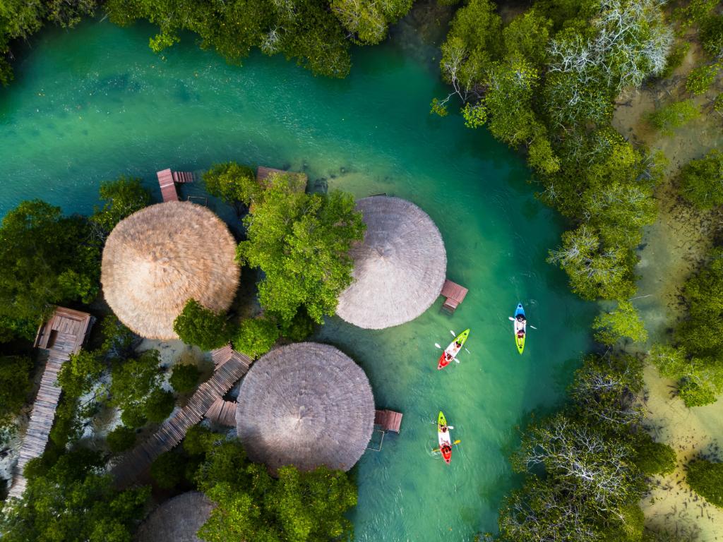 de mangrovebossen in thailand zijn per kajak te bezoeken 