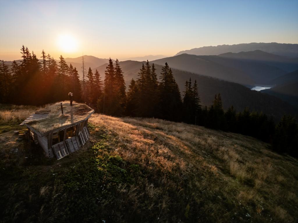 Uitkijkhut beren Roemenie