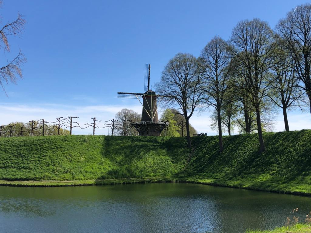hulst