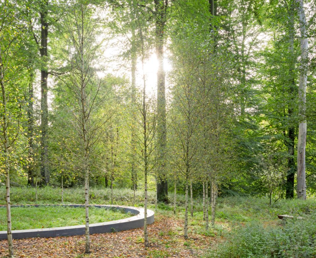 Herdenkingsmonument in het ­Zoniënwoud