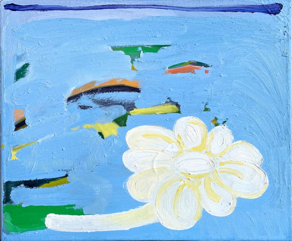 expo's november 2025