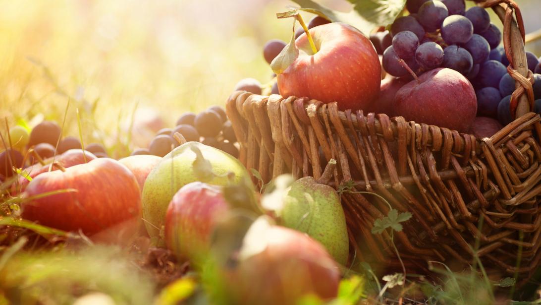 Automne : 3 fruits qui font du bien Automne : 3 fruits qui font du bien