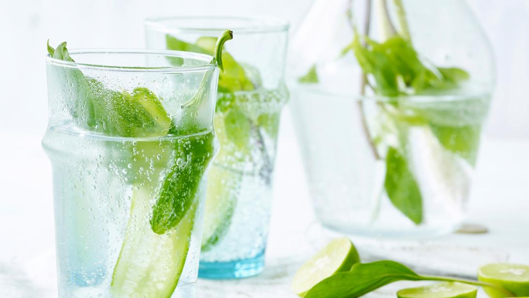 Recette: eau infusée au concombre, basilic thaï et citron vert Recette: eau infusée au concombre, basilic thaï et citron vert