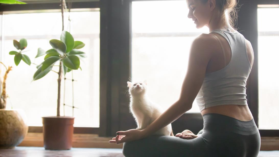 5 sports à pratiquer pour vous assurer une jolie posture 5 sports à pratiquer pour vous assurer une jolie posture