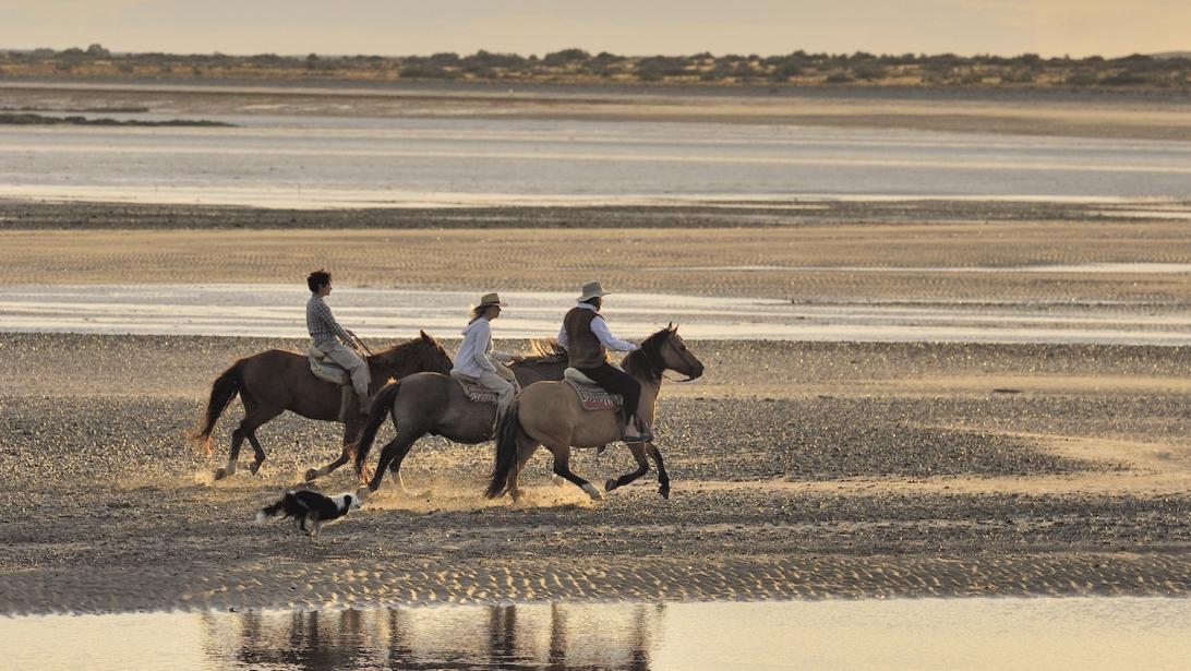 Patagonie: à Bahia Bustamante, un trip zen au bout de monde Patagonie: à Bahia Bustamante, un trip zen au bout de monde